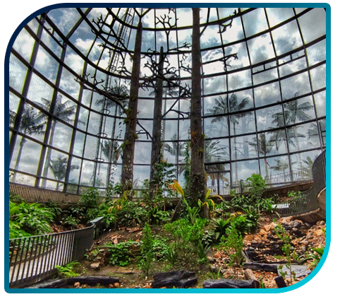 Jardín Botánico